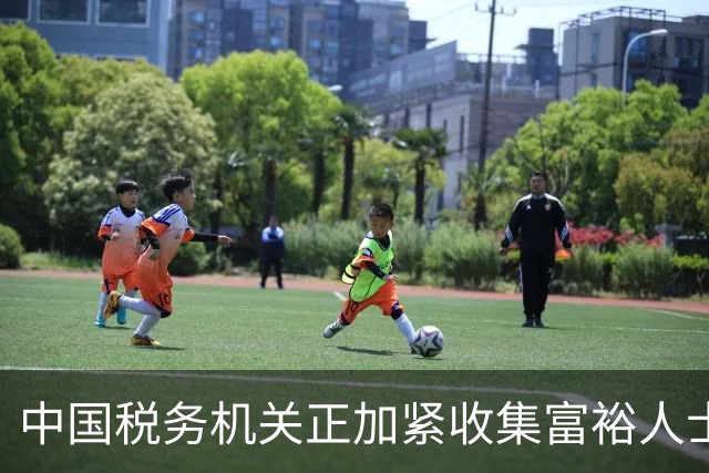 中国税务机关正加紧收集富裕人士资料，追缴境外收入涉及的税款