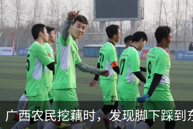 广西农民挖藕时，发现脚下踩到东西，众人合力将其挖出后全都傻眼