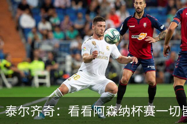 泰尔齐奇：看看阿森纳杯赛一切皆有可能，我们会认真对待对手