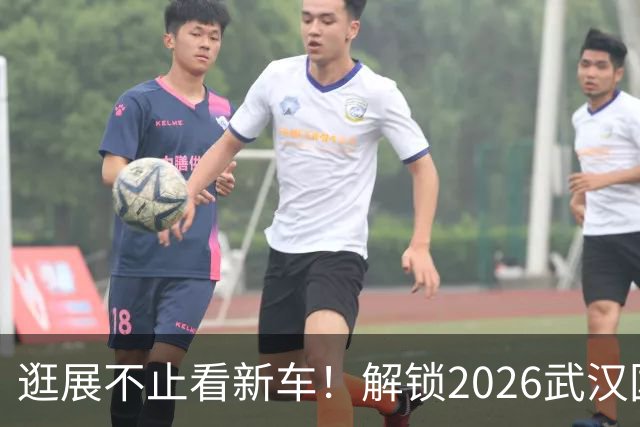 逛展不止看新车！解锁2026武汉国际车展的N种打开方式