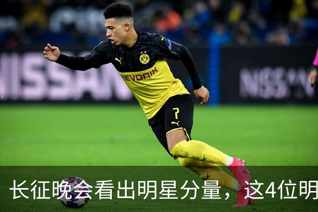 长征晚会看出明星分量，这4位明星能被央视邀请认可，来头不简单